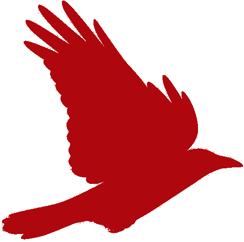 Flying Crow